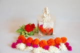 Hexagon Canister with Resin Ganesha Knob