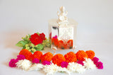 Hexagon Canister with Resin Ganesha Knob